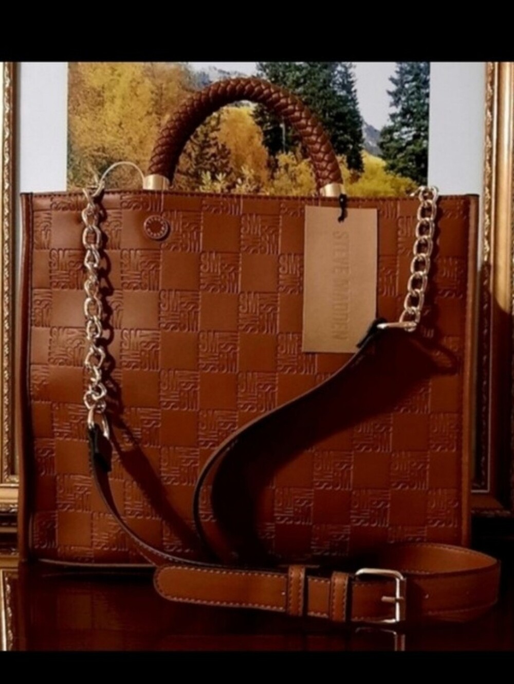 NWT STEVE MADDEN SATCHEL